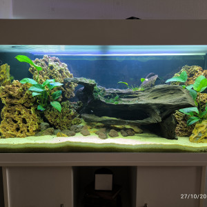 Aquarium