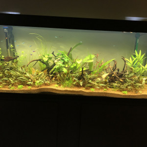 Publication de fabien84320