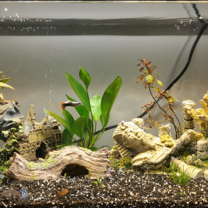 Aqua 60L