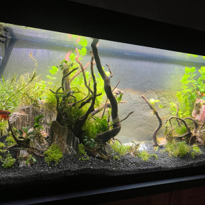 240 l  mise en eau nov 2023