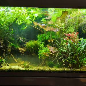 Aquarium 400Litre