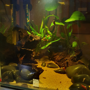 20l cubique