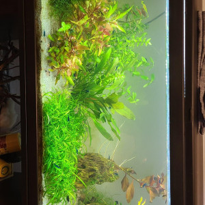 Communautaire aquatlantis