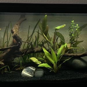 1er 80L