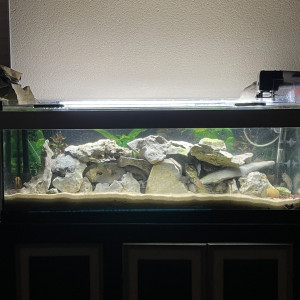 Aquarium garage