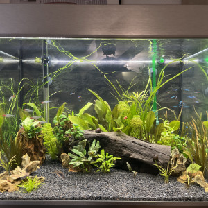 Eheim 175L
