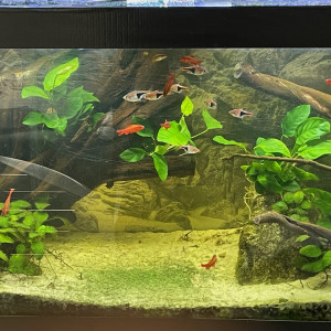 120L