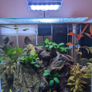 Premier nano low tech