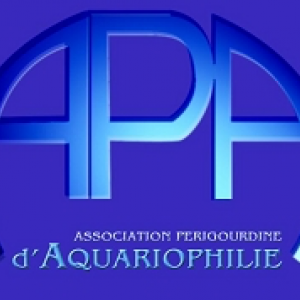 club aquariophilie Association Perigourdine d'Aquariophilie