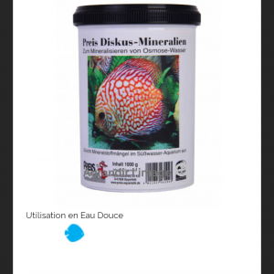 Publication de Domovoi