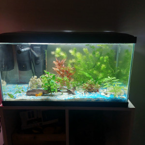 Ciano led 60l