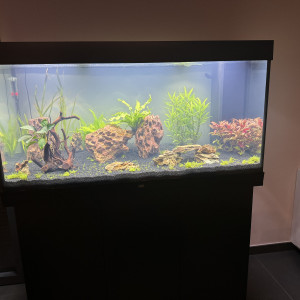 Rio 350 litres