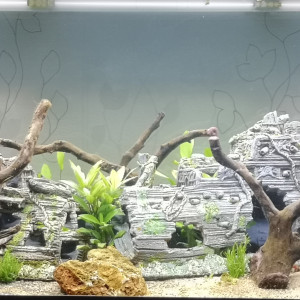 BABASSE AQUARIUM