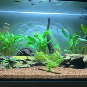 60L