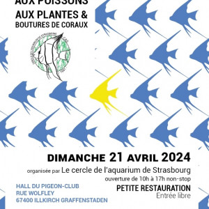 CAS - Bourse aux poissons  - Strasbourg