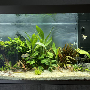 Publication de aquamarc91