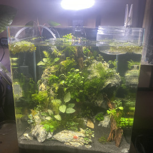 30l