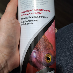 Publication de TerraDragonita