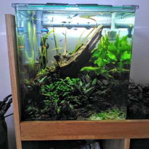 Cube 60l