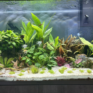 Publication de aquamarc91