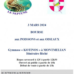 Aux poissons et aux oiseaux