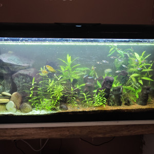 120L