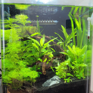 Nano 20L