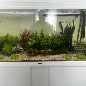 Aquarium 300 Litres