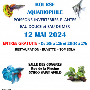 Bourse aquariophile de Saint-Avold