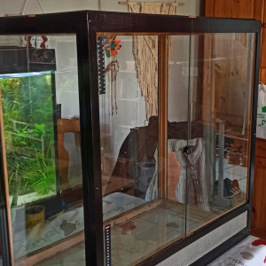 Lepido Terra 280