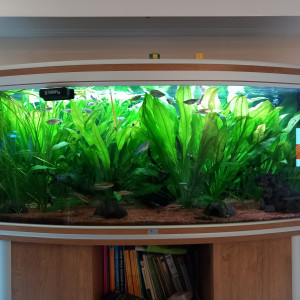 Publication de Aquaphane