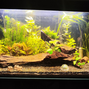 Aquarium 96L japonais