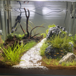 NanoCube 55