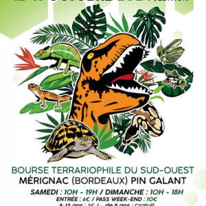 Publication de shanganagh-takhisis
