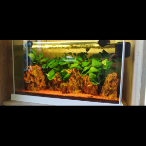 30L red cherry