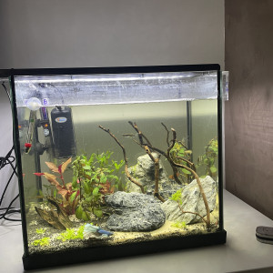 45l