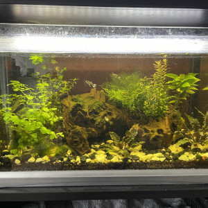 Aquarium