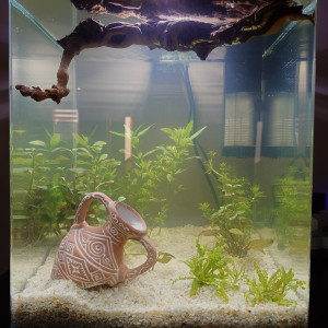Nano Cube 30L
