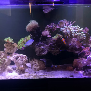Eau de mer 200