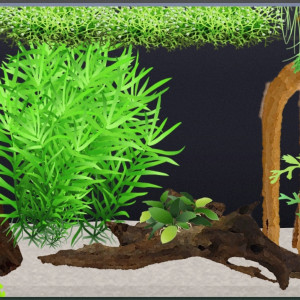 Publication de EntoFlora