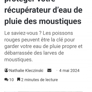 Publication de Domovoi