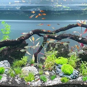 AQUADESIGN