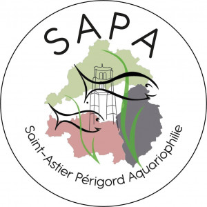 Bourse de Saint-Astier Périgord Aquariophilie