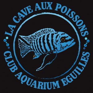 club aquariophilie La Cave aux Poissons