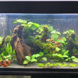 Aquarium