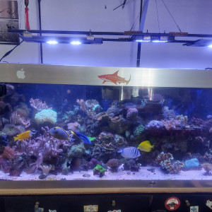 1000 litres