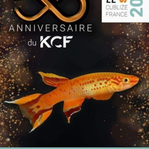Publication de shanganagh-takhisis