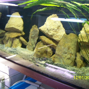 450 litres tanganyika