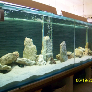 2500 litres ranganyika