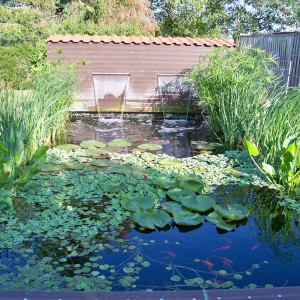 mon bassin 17 m3